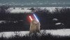 ours jedi.gif, nov. 2023