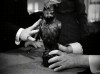 the maltese falcon john houston 1941 le faucon maltais.gif, nov. 2020