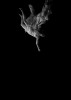tomber du ciel.gif, nov. 2021