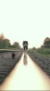 train chat sur un rail.gif, déc. 2019
