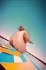 trampoline rappelle toi nos belles vacances.gif, nov. 2023