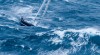 voilier en mer.gif, nov. 2020