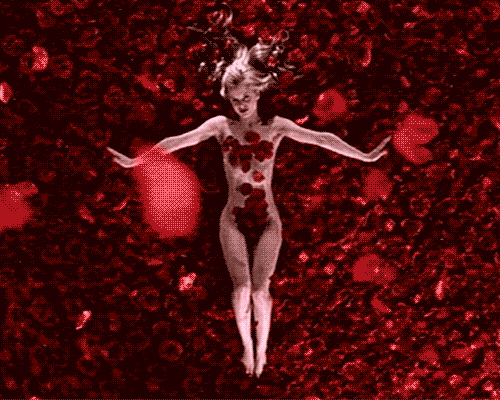 American Beauty, Sam Mendes, Kevin Spacey, Annette Bening.gif, juin 2021