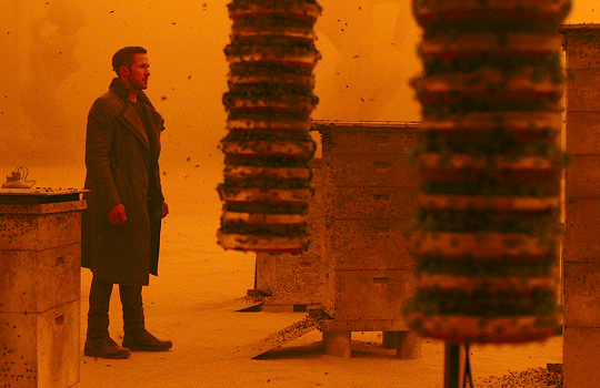 Blade Runner 2049 (2017) dir. Denis Villeneuve abeilles l'apiculteur.gif, fév. 2021