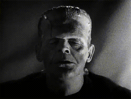 Boris Karloff Frankenstein James Whale 1931 le reflet Narcisse Narcissentein.gif, juin 2021