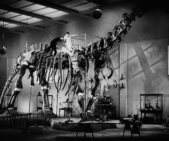 Bringing up Baby (1938) dir. Howard Hawks la disparition des dinosaures.gif, mar. 2021