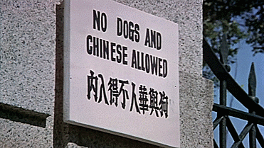 Bruce Lee, the Legend 1984 interdit aux chiens et aux chinois.gif, août 2020