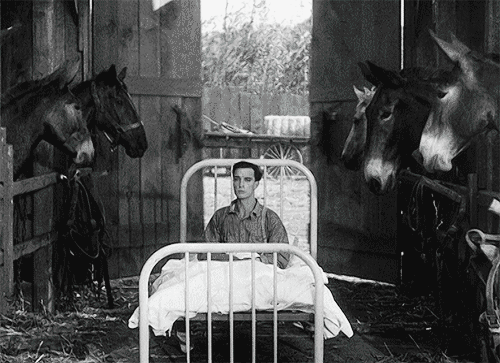Buster Keaton Steamboat Bill Jr. (1928) ma nuit est finie, bonjour le matin.gif, août 2020