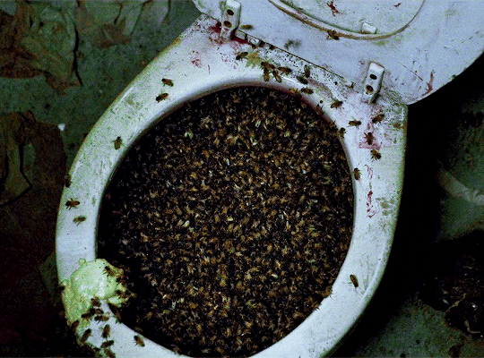 Candyman dir. Bernard Rose insectes toilettes Maman disait toujours la vie c'est comme une boîte de chocolats.gif, oct. 2019