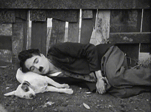 Charlie Chaplin Movie A Dog's Life 1918.gif, déc. 2021