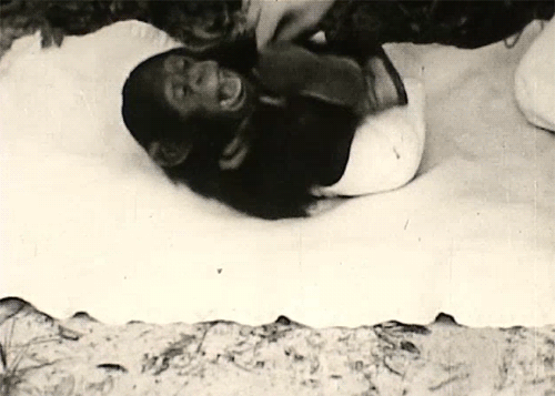 Comparative Tests On A Human And A Chimpanzee Infant Of Approximately The Same Age 1932 chimp tickle gif science 1930s Pennsylvania State Univ. Psych. Cinema Register.gif, mar. 2020
