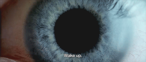 Donnie Darko réveille-toi.gif, mai 2021