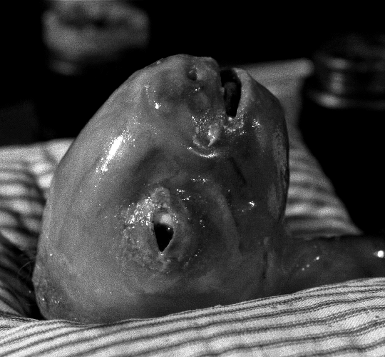 Eraserhead 1977 dir. David Lynch une cuillérée pour papa bon appétit.gif, nov. 2020