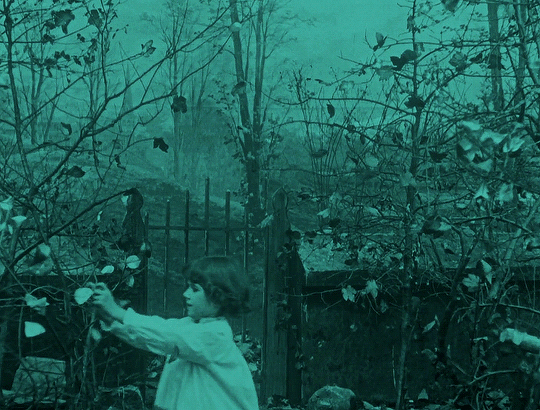 Falling Leaves (1912) dir. Alice Guy-Blaché matin de Noël rattacher les feuilles mortes aux arbres.gif, déc. 2021