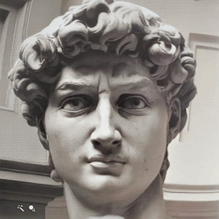 Head_of_David_by_Michelangelo_Photograph_by_Carl_Purcell_Florence_Italie.gif