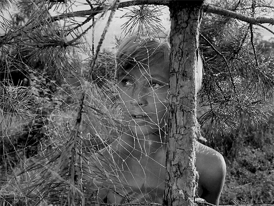 Ivan’s Childhood 1962 dir. Andrei Tarkovsky l'odeur de la résine.gif