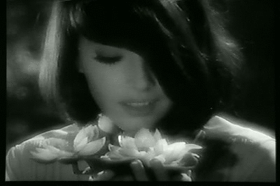 Joanna Frank Outer Limits ZZZZ 1963 le goût des fleurs.gif, sept. 2021