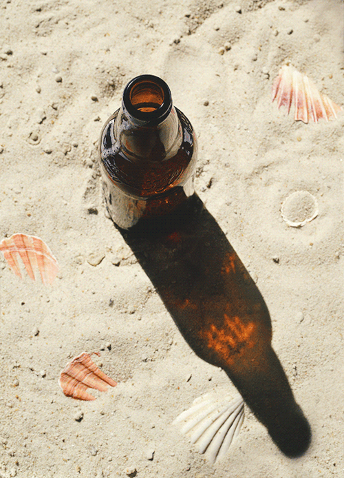 Kitchen Ghosts bouteille de bière le soleil sur la plage.gif, août 2021