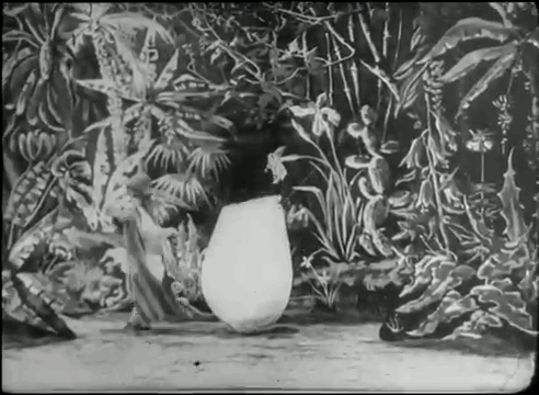 La Chrysalide et le Papillon d'or Georges Méliès 1901.gif, févr. 2024