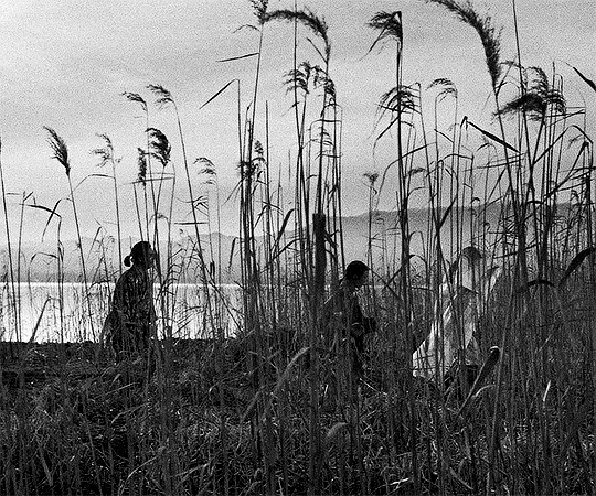 Les Contes de la lune vague après la pluie Ugetsu monogatari Kenji Mizoguchi 1953 suivez les roseaux