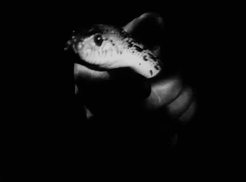 Lot in Sodom, James Sibley Watson, 1933 le serpent dans la main.gif, nov. 2020