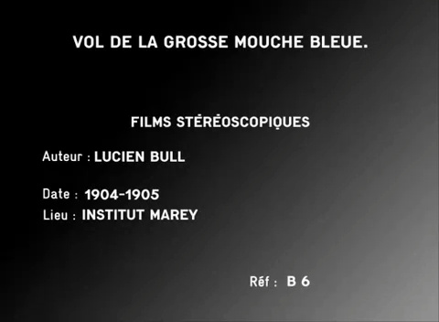 Lucien Bull (stenographics 1) 1904-1905 vol de la grosse mouche bleue.gif, avr. 2021