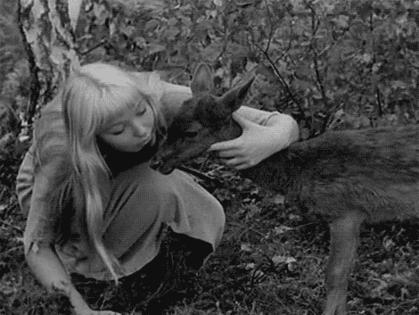 Marina Vlady la sorcière blonde le baiser à Bambi.gif, fév. 2020