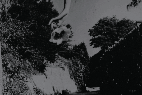 Maya Deren, Meshes of the Afternoon, 1943 une fleur sur ta route.gif, janv. 2022