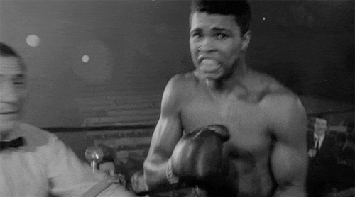 Mohamed Ali Emmanuel Macron Emmanuel Ali boxe les plus grands boxeurs de tous les temps