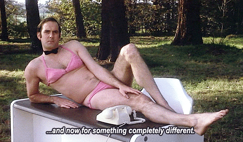 Monty Python John Cleese and now for something completely different.gif, mar. 2021