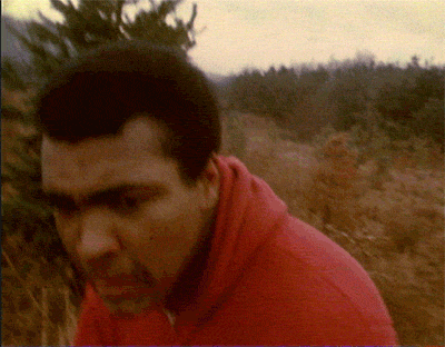 Muhammad Ali dans la nature.gif, juin 2020