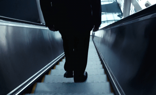 My son my son what have ye done Michael Shannon Werner Herzog escalator une descente sans fin