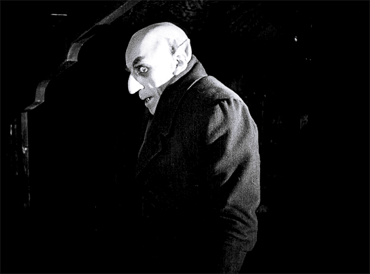 Nosferatu (1922) dir. F.W. Murnau Mr Zemmour, non rien.gif, oct. 2021