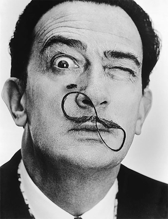 Salvador Dalí la mouche et l'infini.gif, mar. 2021