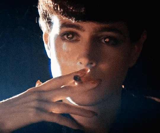 Sean Young Blade Runner 1982.gif, juin 2023