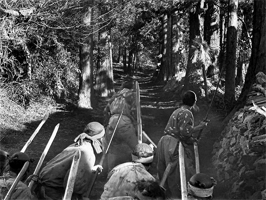 Seven Samurai (1954) dir. Akira Kurosawa la forêt.gif, août 2020