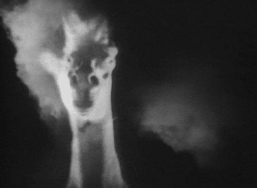 The Wind 1928 film muet cheval rêve.gif, août 2019