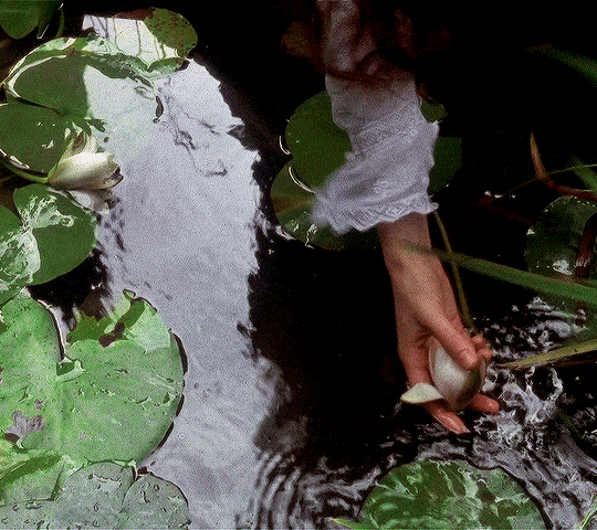 The secret Garden dir. Agnieszka Holland 1993 doucement s'il vous plaît je suis extrêmement sensible des testicules