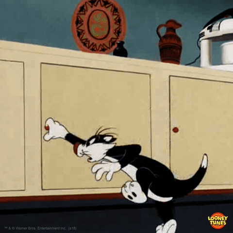 Tom et Jerry les placards vides mais où est donc l'intelligence.gif, nov. 2023