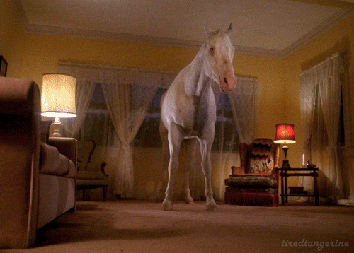 Twin peaks Woe to the ones who behold the pale horse malheur à ceux qui contemplent le cheval pâle.gif, mai 2023