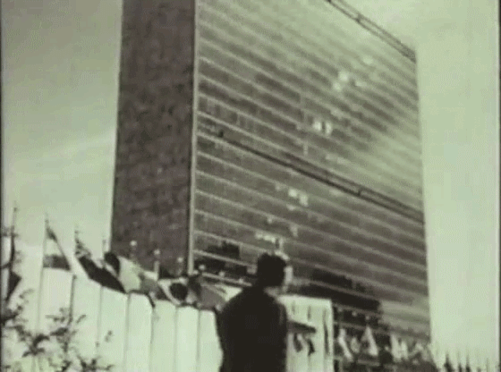 Yayoi Kusama Self-Obliteration 1967 ONU.gif, janv. 2020