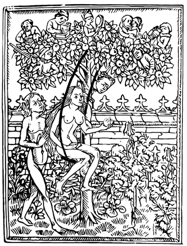 Zu Rudimentum novitiorium, Lucas Brandis, 1475 le paradis du gif.gif, juin 2020
