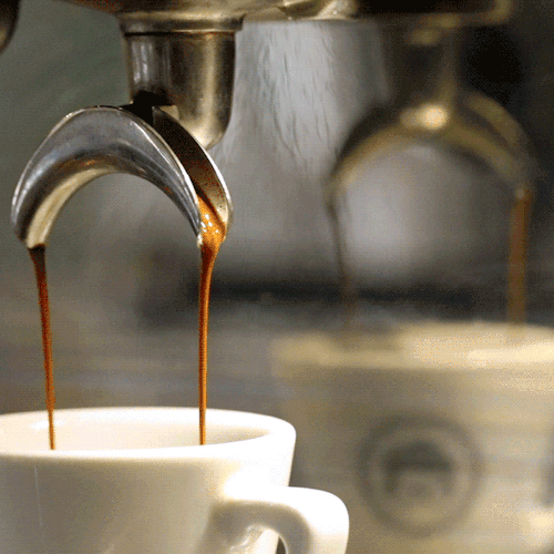 cafe_la_source.gif