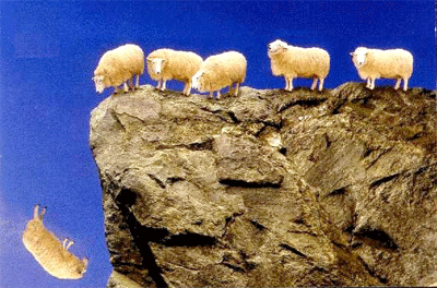 compter les moutons qui tombent de la falaise.gif, mar. 2021