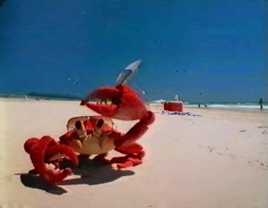 crabe bouge tes bras.gif, oct. 2019