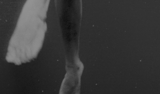 creature from the black lagoon 1954 les chevilles des femmes