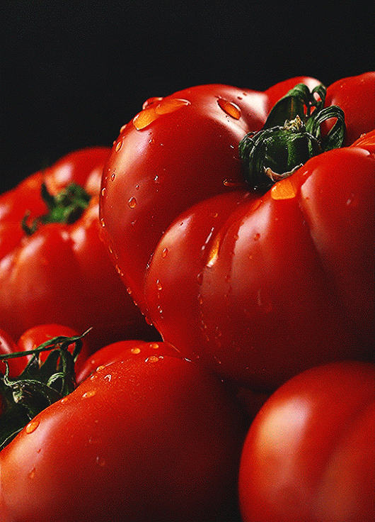 la transpiration des tomates canicule tu as chaud hein mais dis-le que tu as chaud.gif, août 2021