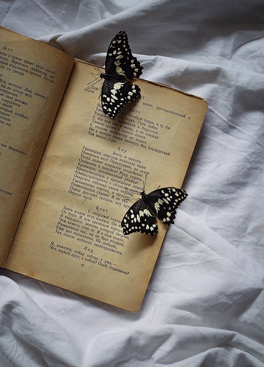 le livre des papillons.gif, mar. 2020