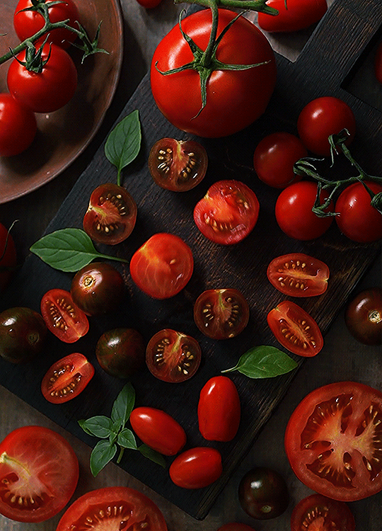 le mouvement des tomates.gif, déc. 2019