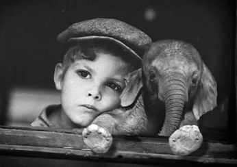 mon_ami_l_elephant.gif